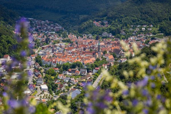 Bad Urach_Mende_0C0A7386