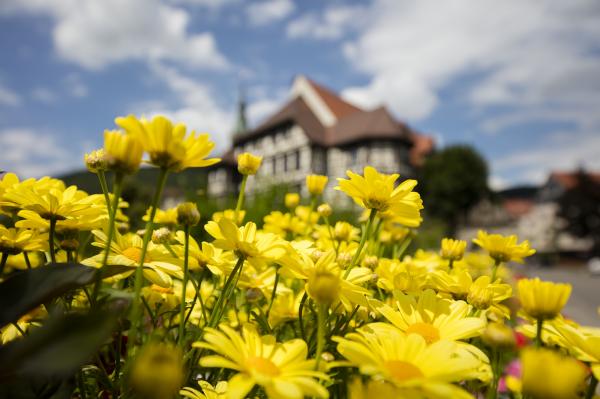 Gartenschau Bad Urach 2027