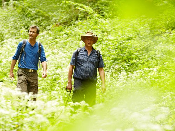 badurach_2012_FD_265