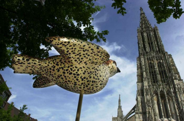 Erlebnisse Ausflugsziele Ulm