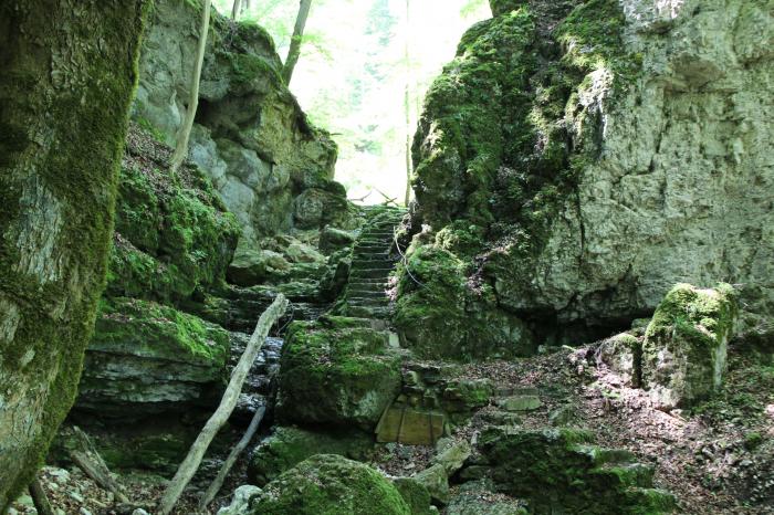 Premiumwanderwege Grafensteige: Wolfsschlucht am Hohenwittlingensteig