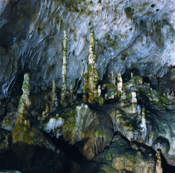 Erlebnisse Ausflugsziele Bärenhöhle Kalkgestein