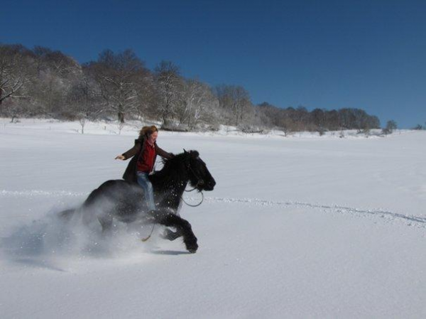 Erlebnisse Freizeitangebote Reiten und Kutschfahrten