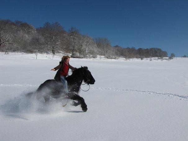 im Winter auch zu Pferd durch die Schwäbische Alb